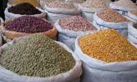 تقویت سلول های استخوان ساز با مصرف نخود و عدس